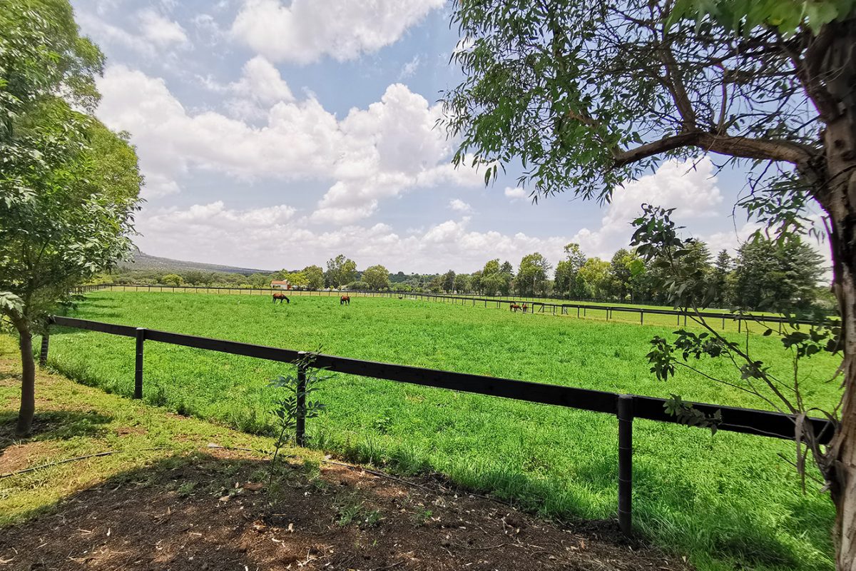 Countryside Estate near San Miguel